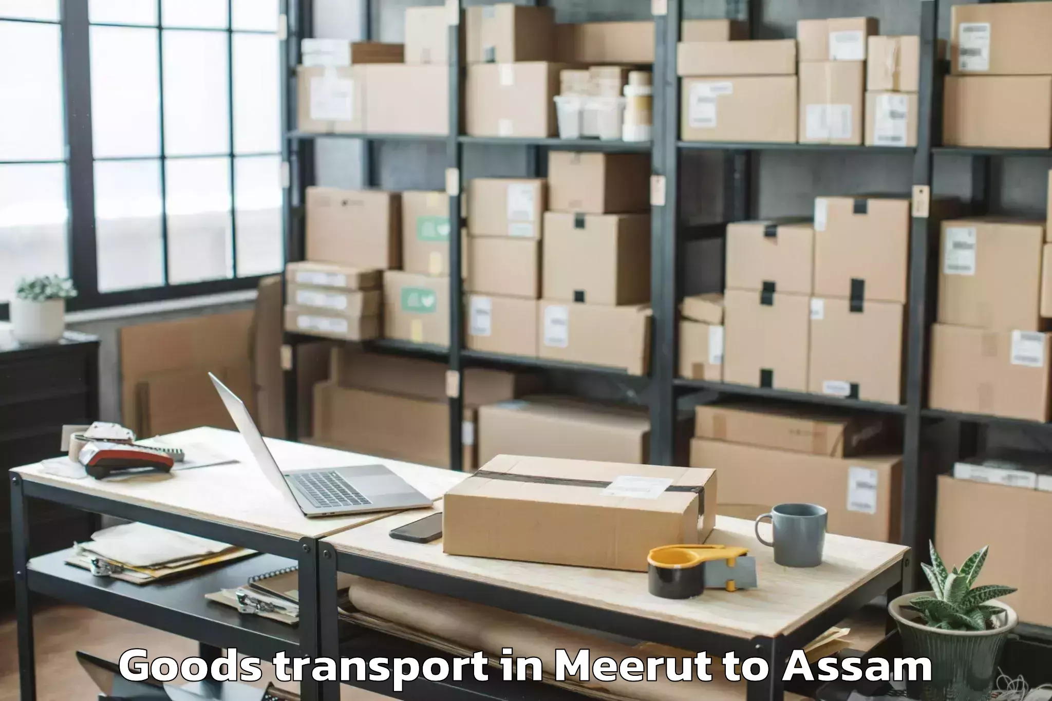 Book Your Meerut to Fekamari Goods Transport Today